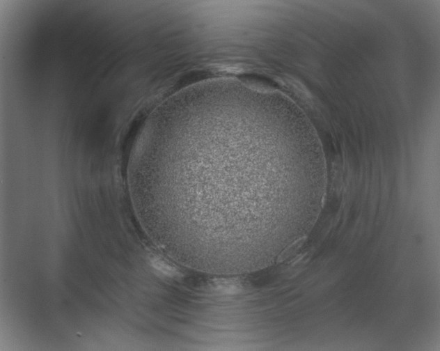 X0000071340377200606261322