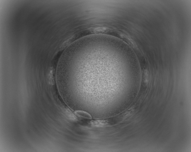 X0000071340378200606261322