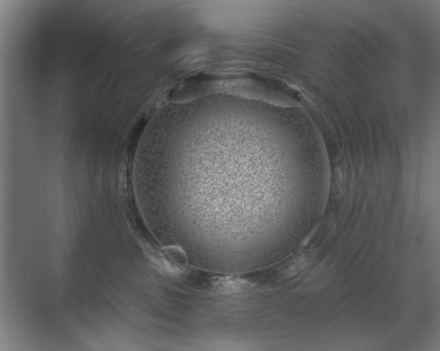 X0000071340379200606261322