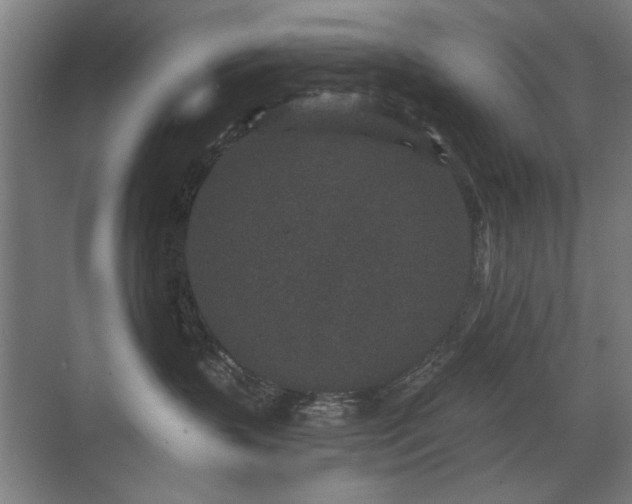 X0000071340383200606261322