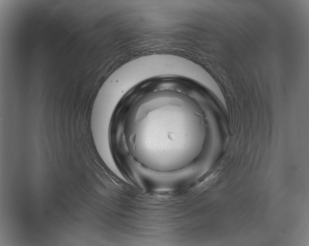 X0000071340384200606261322