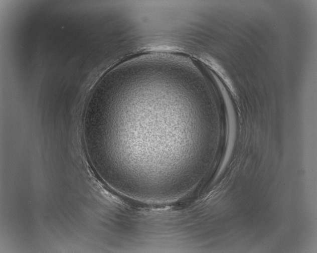 X0000071340385200606261321