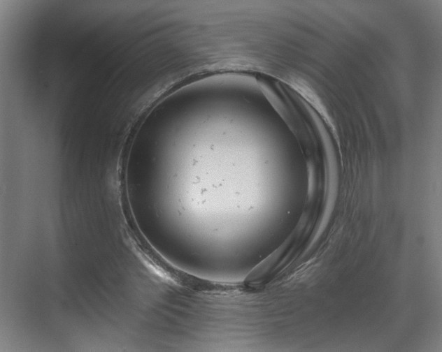 X0000071340389200606261321