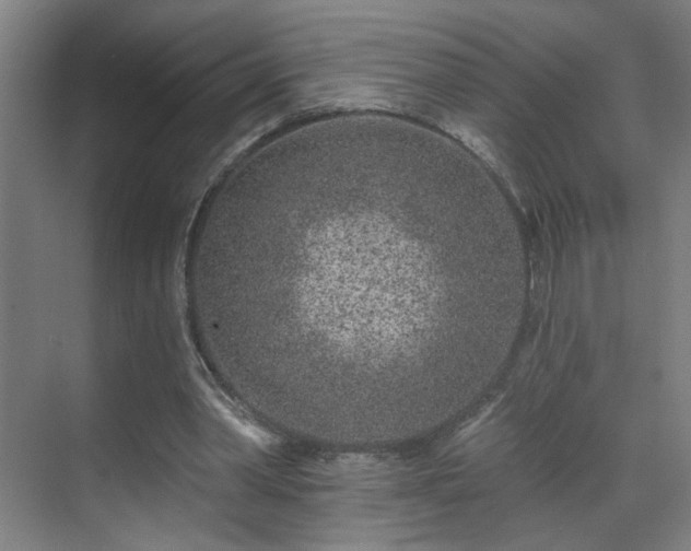 X0000071340390200606261321