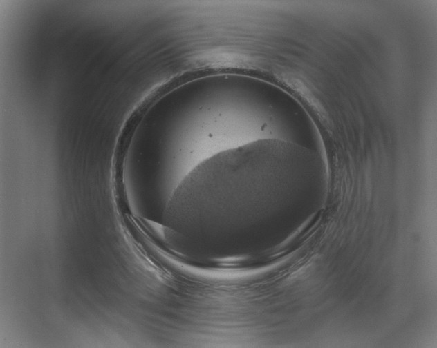 X0000071340391200606261321