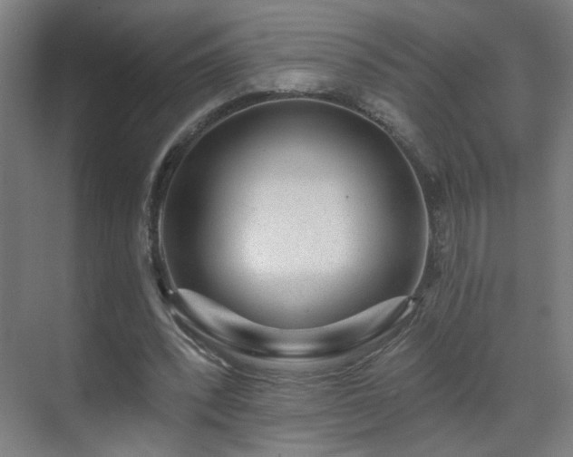 X0000071340392200606261321