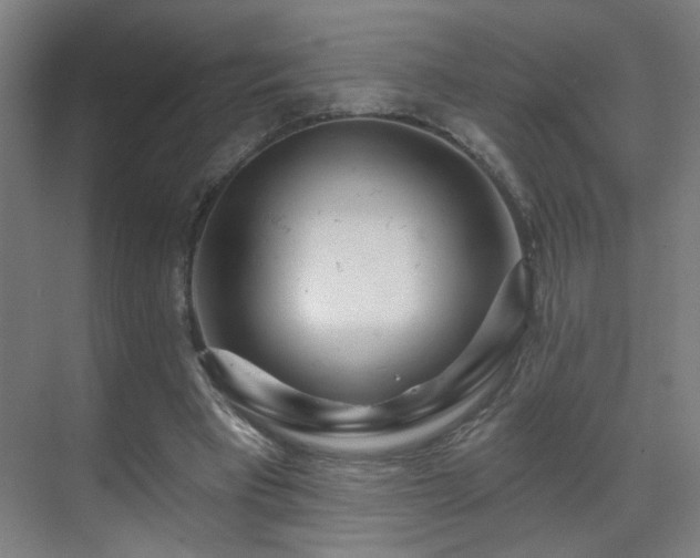 X0000071340393200606261321