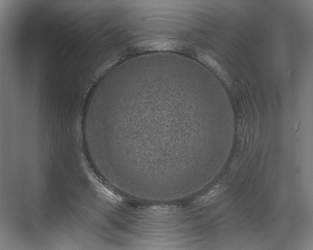 X0000071340394200606261321