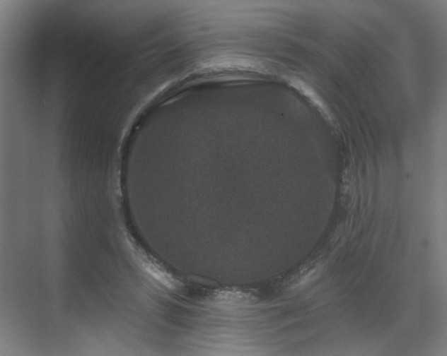 X0000071340399200606261321