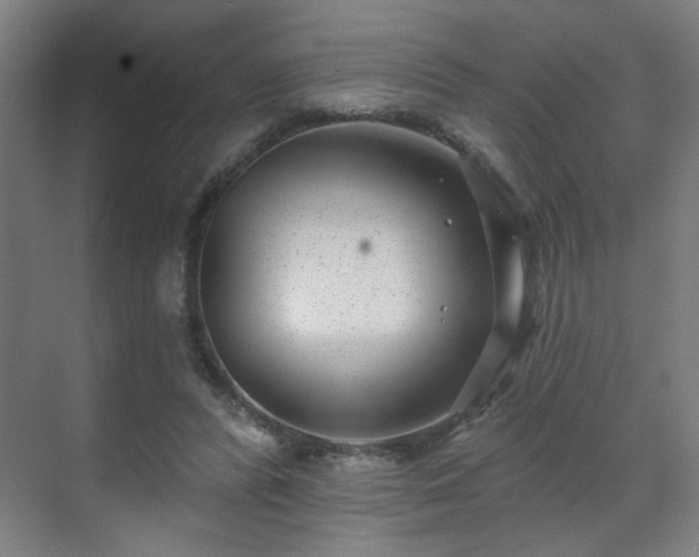 X0000071340400200606261321