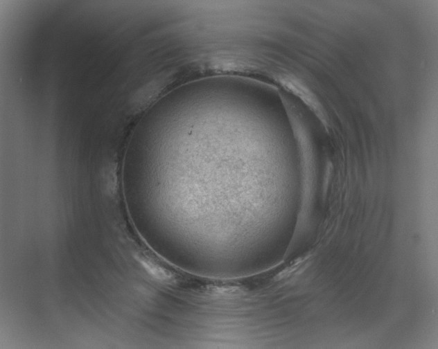 X0000071340401200606261321