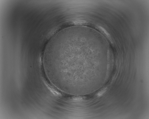 X0000071340405200606261321