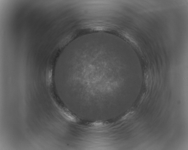 X0000071340406200606261321