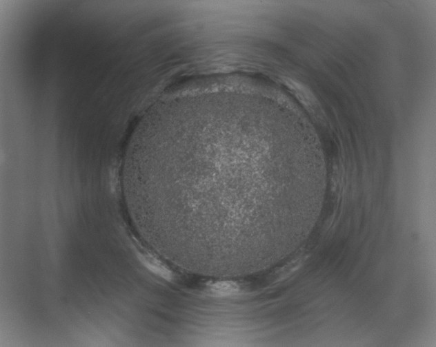 X0000071340409200606261321