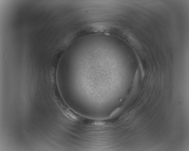 X0000071340413200606261321