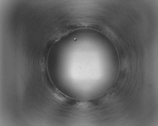 X0000071340414200606261321