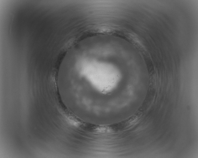 X0000071340415200606261321