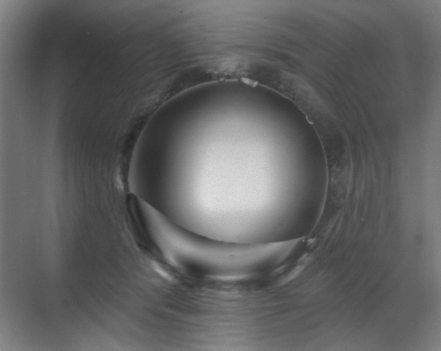 X0000071340416200606261321