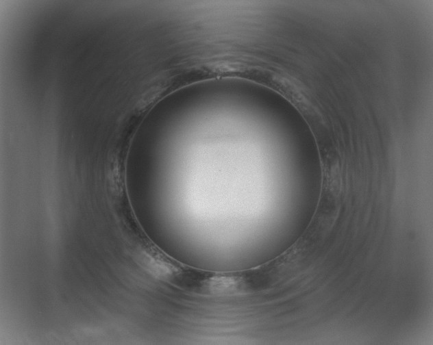 X0000071340418200606261321