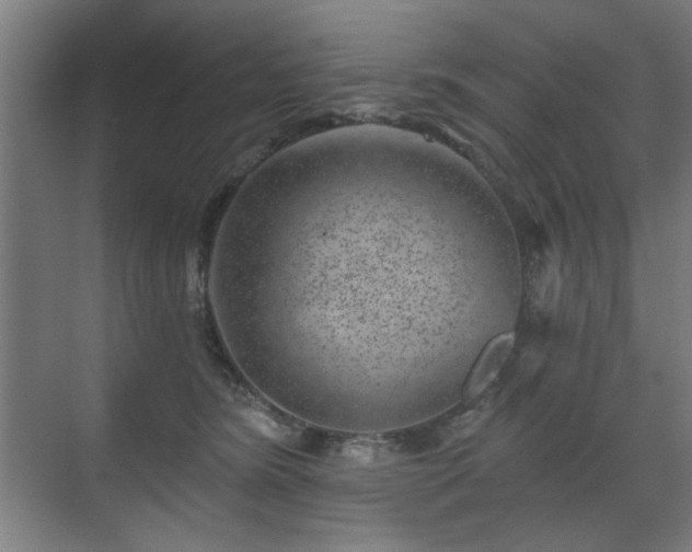 X0000071340420200606261321