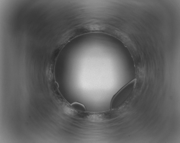 X0000071340422200606261320