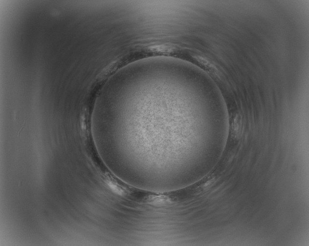 X0000071340424200606261320