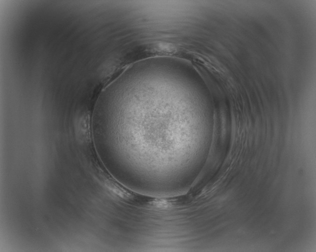 X0000071340425200606261320