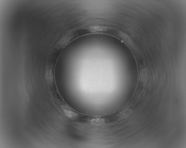 X0000071340426200606261320