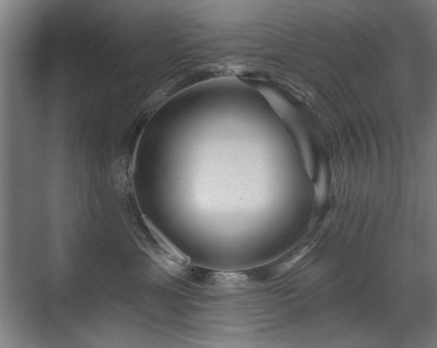 X0000071340429200606261320