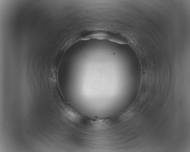 X0000071340430200606261320