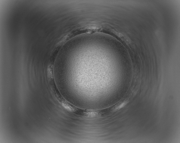 X0000071340432200606261320