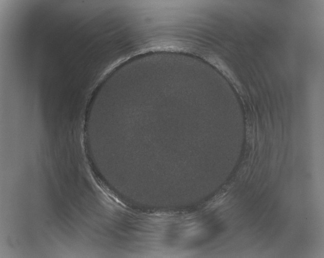 X0000071340434200606261320