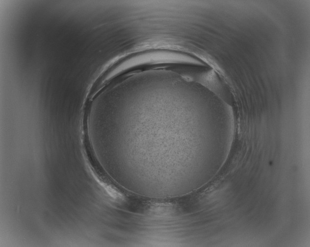 X0000071340438200606261320