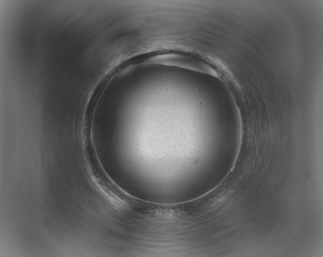 X0000071340439200606261320