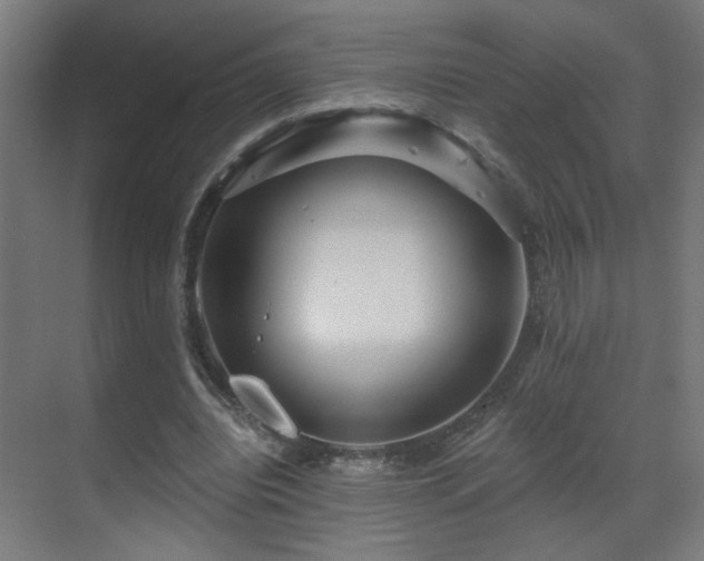 X0000071340440200606261320