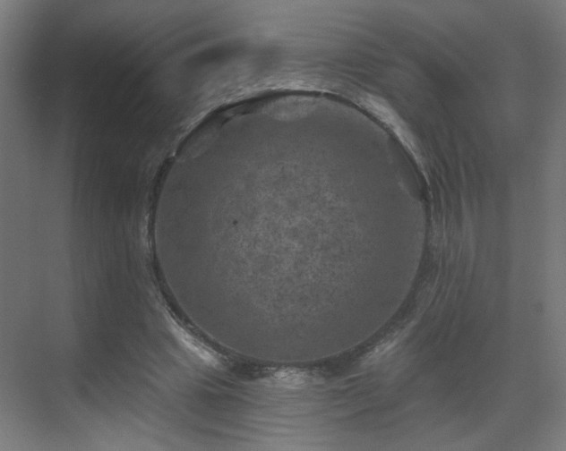 X0000071340441200606261320