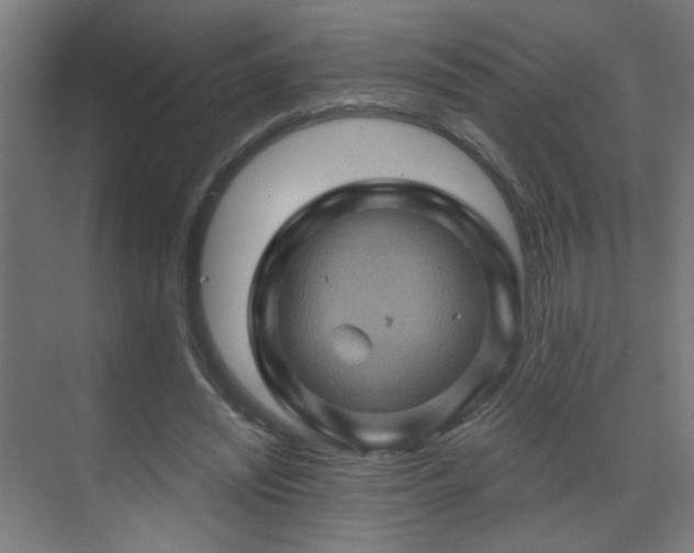 X0000071340444200606261320