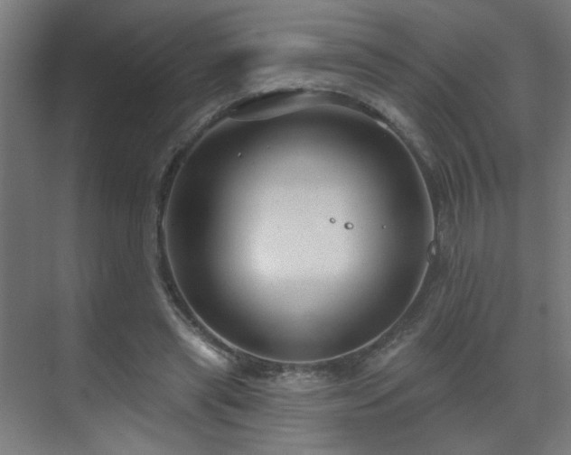 X0000071340445200606261320