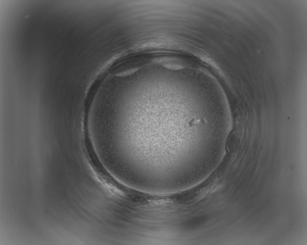 X0000071340446200606261320