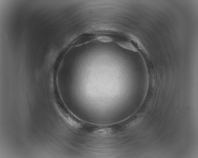 X0000071340447200606261320