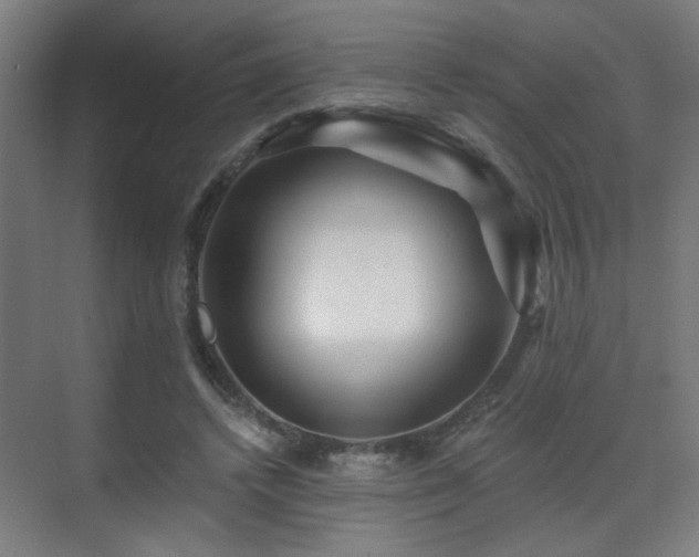 X0000071340448200606261320