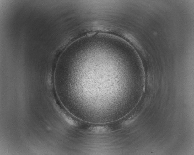 X0000071340449200606261320