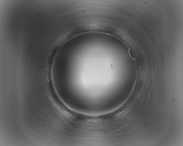 X0000071340450200606261320