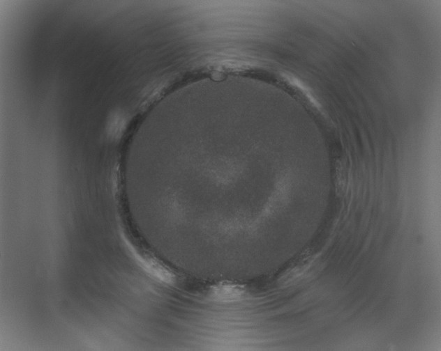 X0000071340451200606261320