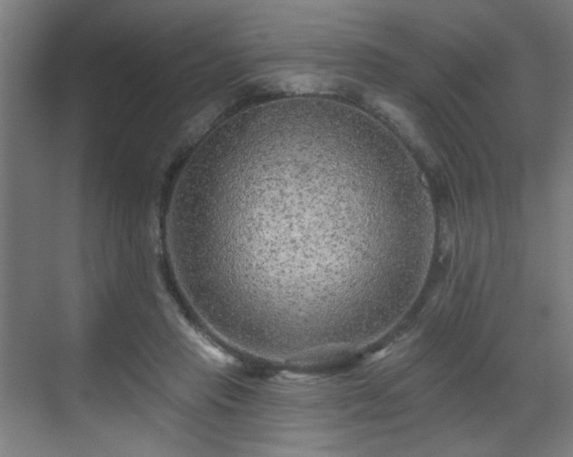 X0000071340453200606261320