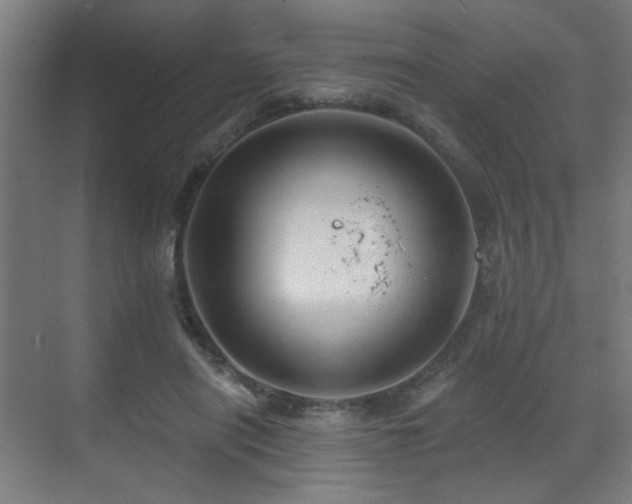 X0000071340454200606261320