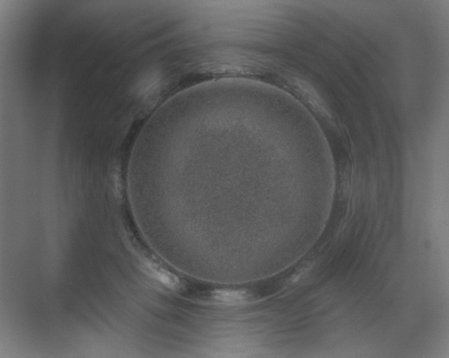 X0000071340457200606261320