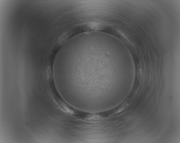 X0000071340459200606261320