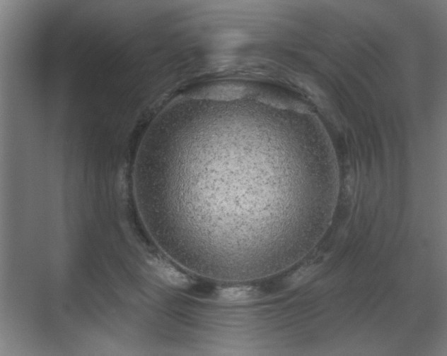 X0000071340461200606261320