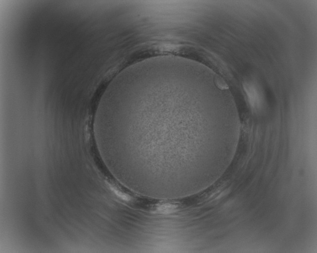 X0000071340462200606261320